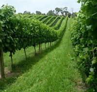 The Cups Estate - Kawana Tourism