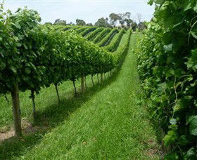 The Cups Estate - Kawana Tourism 0