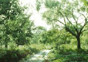 Holey Plains State Park - Kawana Tourism 0