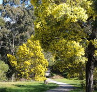 Wattle Park - Kawana Tourism