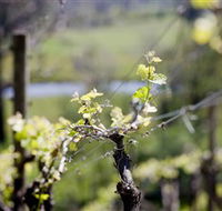 Eldridge Estate of Red Hill - Kawana Tourism