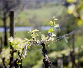 Eldridge Estate Of Red Hill - Kawana Tourism 0