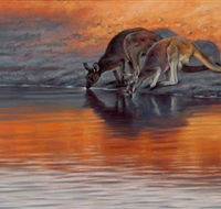 Steve Morvell Wildlife Art - Kawana Tourism