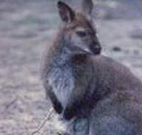 Churchill National Park - Kawana Tourism