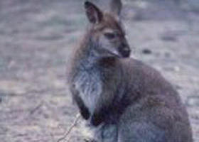 Churchill National Park - Kawana Tourism 0