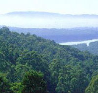 Kalorama Park - Kawana Tourism