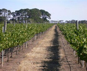 Mount Beckworth Wines - Kawana Tourism 0