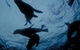 The Arches Marine Sanctuary - thumb 0