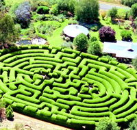 Wandiligong Maze - Kawana Tourism