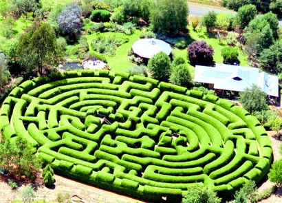 Wandiligong Maze - Kawana Tourism 0