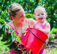 Cherryhill Orchards - Kawana Tourism