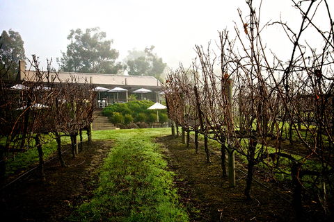 GREENSTONE VINEYARDS - Kawana Tourism 4