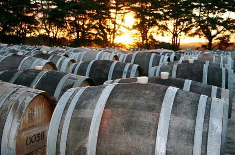 Dromana Estate - Kawana Tourism 9