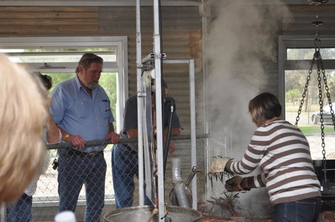 Eucalyptus Distillery Museum - Kawana Tourism 1