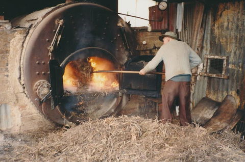Eucalyptus Distillery Museum - Kawana Tourism 2