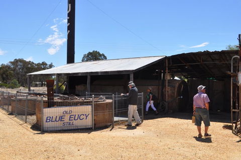 Eucalyptus Distillery Museum - Kawana Tourism 3