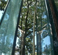 Sydney Sculpture Walk - Kawana Tourism