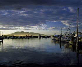 The Coast Road - Kawana Tourism 0
