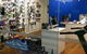 The Running Company Potts Point - thumb 0