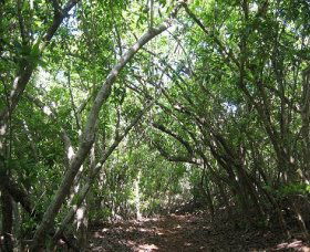 Durras North NSW Kawana Tourism