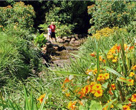 Bonaira Native Gardens - Kawana Tourism 0