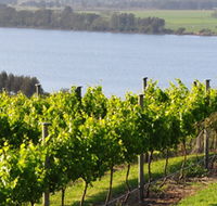 Two Figs Winery - Kawana Tourism