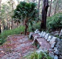 Wodi Wodi Walking Track - Kawana Tourism
