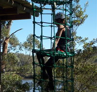 Trees Adventure Shoalhaven - Kawana Tourism