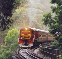Cockatoo Run - Scenic Tour Train operated by 3801 Limited - Kawana Tourism