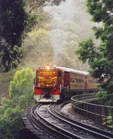 Cockatoo Run - Scenic Tour Train Operated By 3801 Limited - Kawana Tourism 0