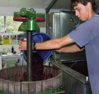 Fern Gully Winery - Kawana Tourism