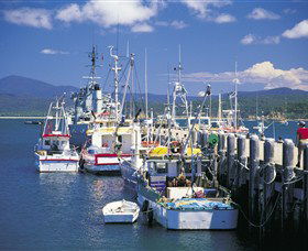 Timbillica NSW Kawana Tourism