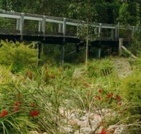 Eurobodalla Botanic Gardens - Kawana Tourism