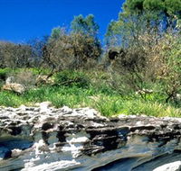 Abrahams Bosom Reserve - Kawana Tourism