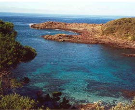 Bass Point Reserve - Kawana Tourism 0