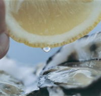Pearly Oyster Bar and Farm - Kawana Tourism