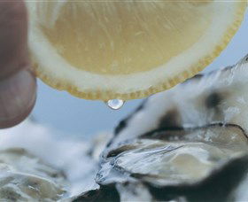 Pearly Oyster Bar And Farm - Kawana Tourism 0