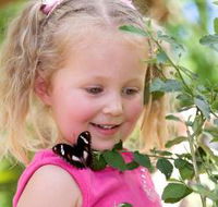 Coffs Harbour Butterfly House