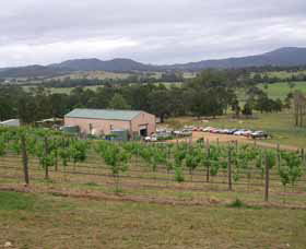 Villa D Esta Vineyard - Kawana Tourism 0