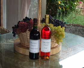Villa D Esta Vineyard - Kawana Tourism 2