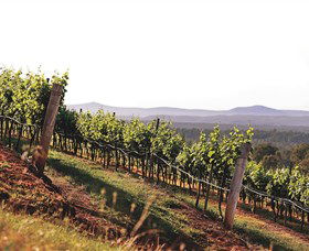 Briar Ridge Vineyard - Kawana Tourism 1