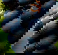 Swinging Bridge Estate - Kawana Tourism