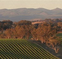 Angullong Wines - Kawana Tourism