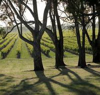 Henry's Drive Vignerons - Kawana Tourism