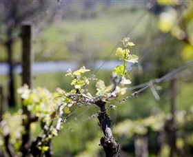 Bellarine Estate - Kawana Tourism 0