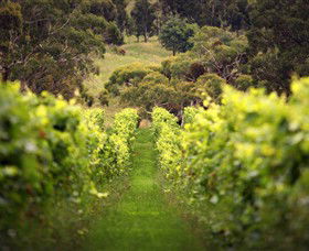 Merindoc Cafe And Cellar Door - Kawana Tourism 0