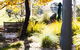 Merindoc Cafe And Cellar Door - thumb 4
