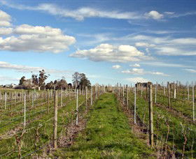 Rowanston On The Track Winery & Bed And Breakfast - Kawana Tourism 1