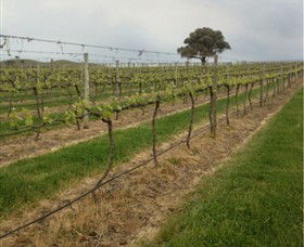 Indigo Vineyard - Kawana Tourism 1