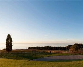Jack Rabbit Vineyard - Kawana Tourism 3